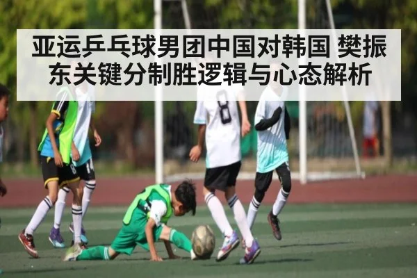 亚运乒乓球男团中国对韩国 樊振东关键分制胜逻辑与心态解析